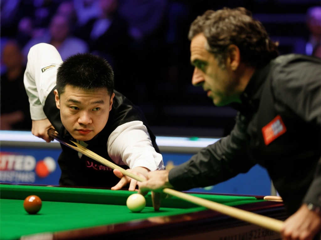 极速体育-软件服务